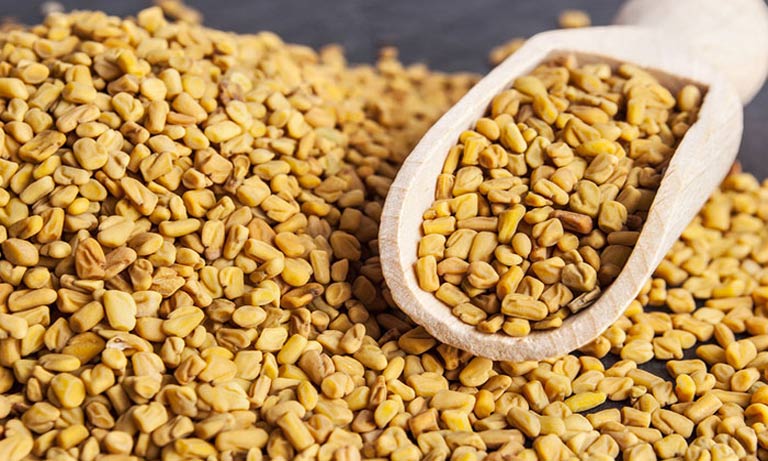 Fenugreek