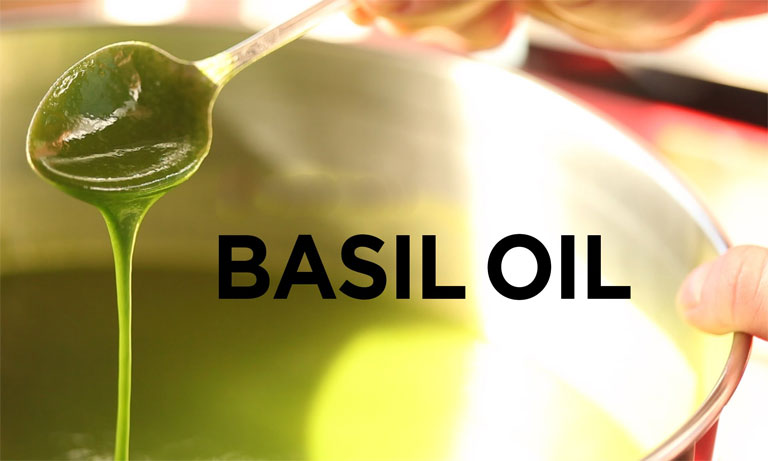 Basil oil